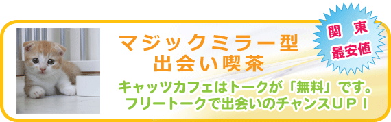 マジックミラー型出会い喫茶　キャッツカフェはトークが「無料」です。フリートークで出会いのチャンスＵＰ！